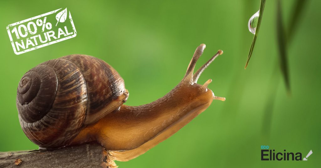 INCI Elicina Eco